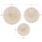 Set of 3 Cream Dried Plant Material Coastal Style Wall Decor, 20", 24", 28"